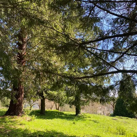 別荘 Magnifica Casa Independiente By Bebalmy サンティアゴ・デ・コンポステーラ