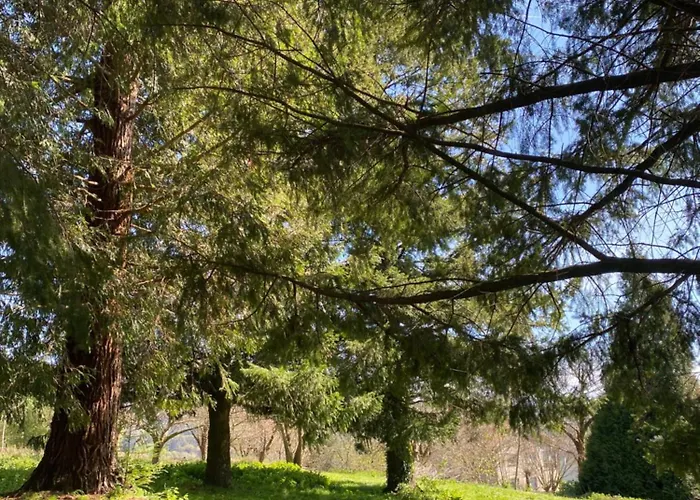 Holiday home Magnifica Casa Independiente By Bebalmy Santiago de Compostela